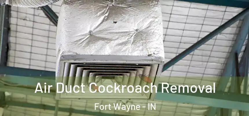  Air Duct Cockroach Removal Fort Wayne - IN