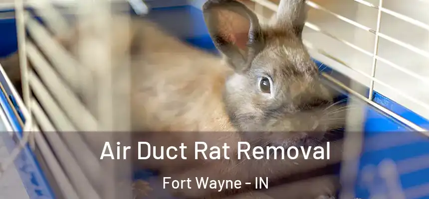  Air Duct Rat Removal Fort Wayne - IN