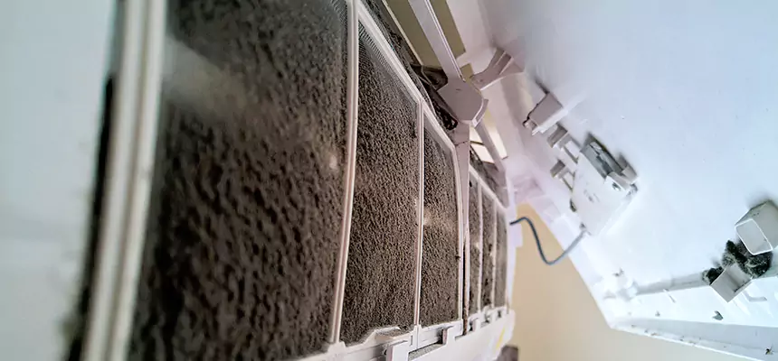 Preventive Air Duct Bacteria Removal in Fort Wayne