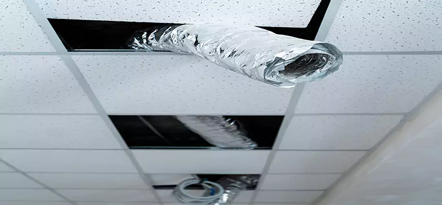 Our Air Duct Pet Hair Removal Services in Fort Wayne, IN