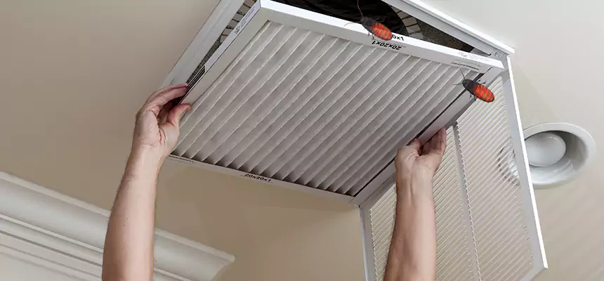 Our Insect Removal from Air Ducts Services in Fort Wayne, IN