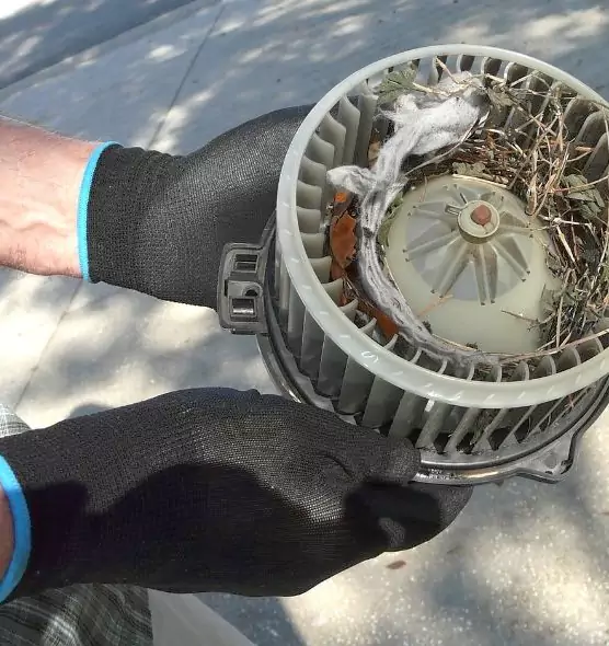 About Air Duct Mice Removal in Fort Wayne, IN