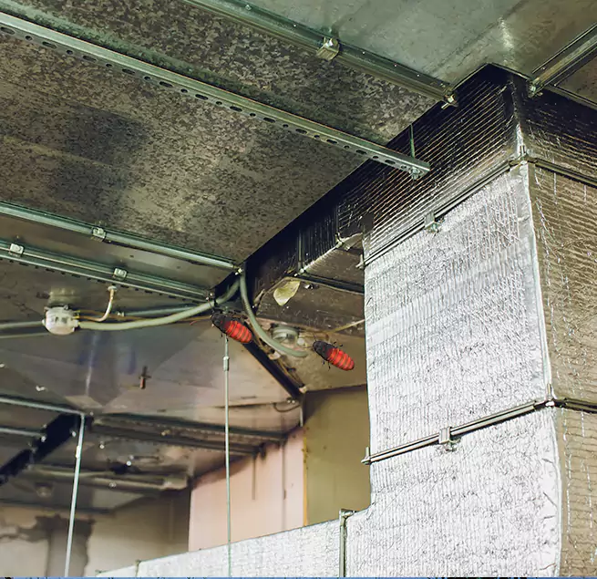 Why Homeowners & Businesses Trust Us in Fort Wayne, IN?