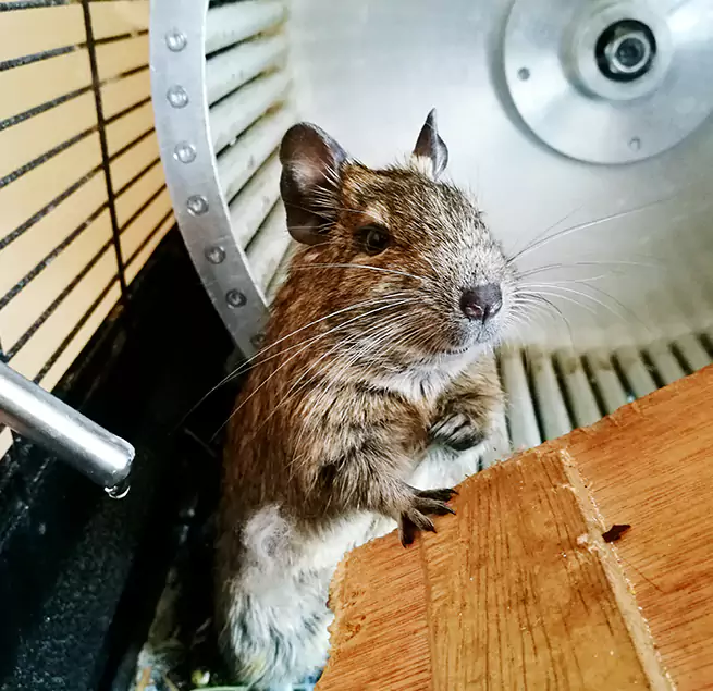 Why Homeowners & Businesses Trust Us Fort Wayne, IN?